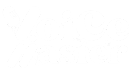 voicemaster.info